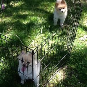 Meet your Posher, Denise